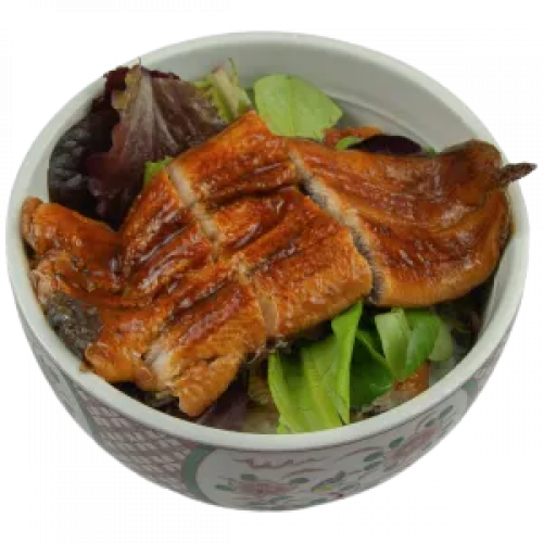 UNAGI DON